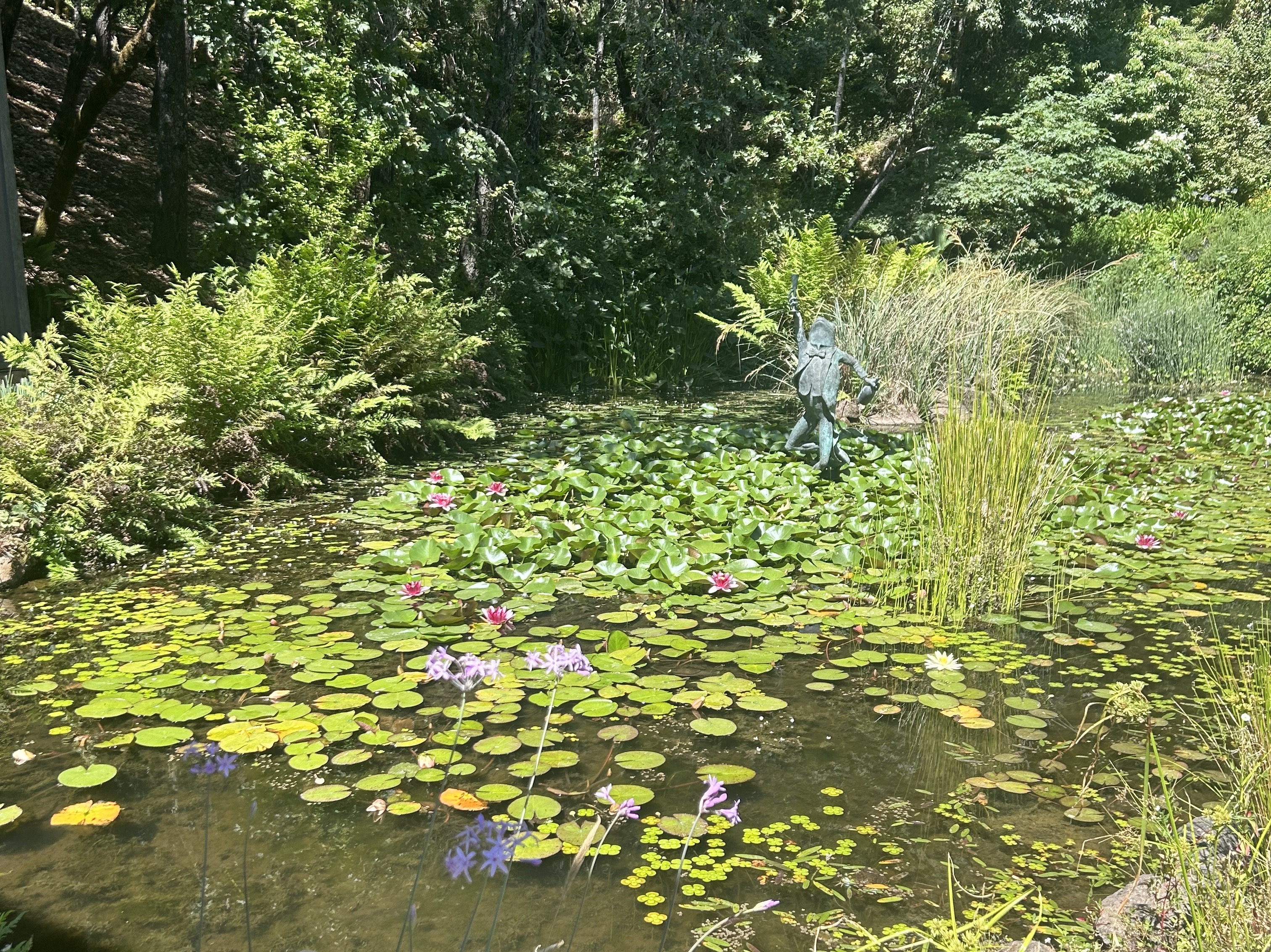 Schramsberg Vineyards